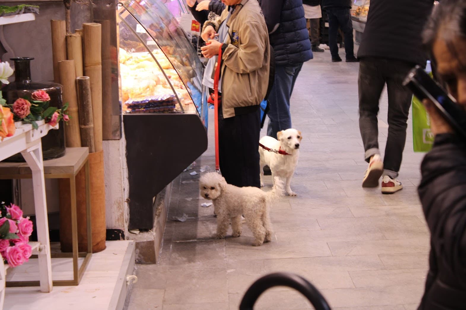 Itália Pet Friendly